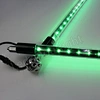 club light